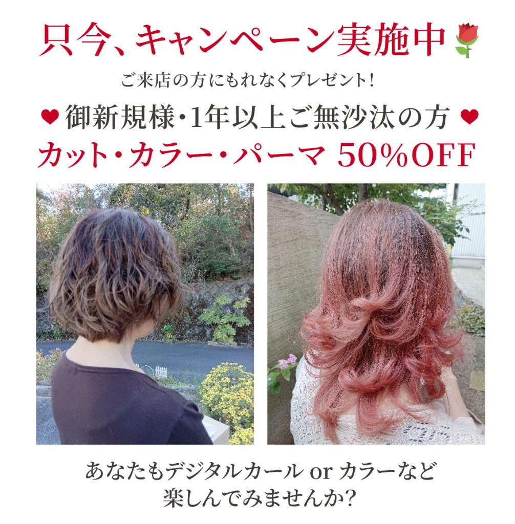 キャンペーン